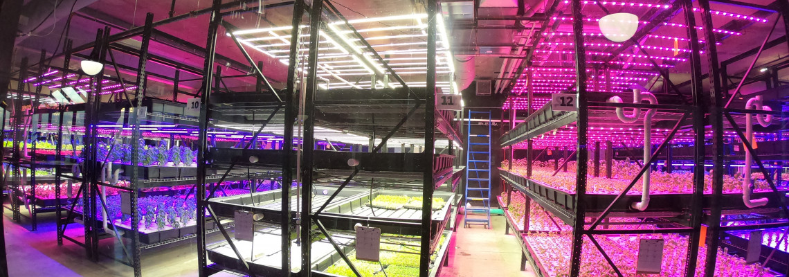 The Science Behind SecretLED Grow Lights: A Deep Dive