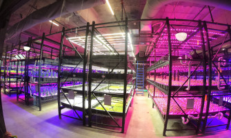 The Science Behind SecretLED Grow Lights: A Deep Dive