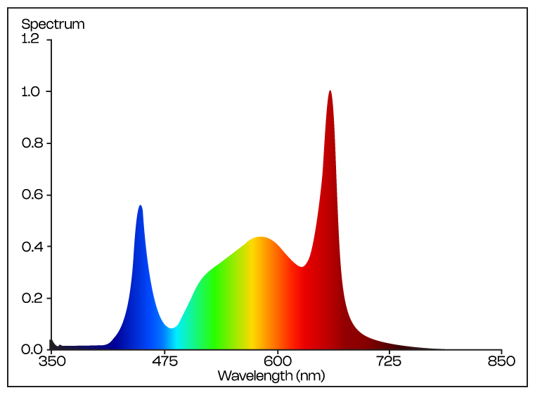 Spectrum