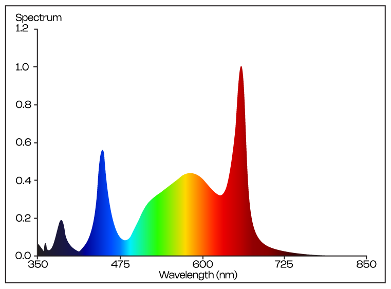 Spectrum