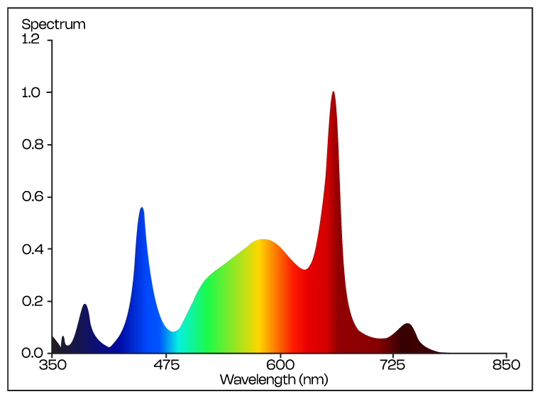 Spectrum