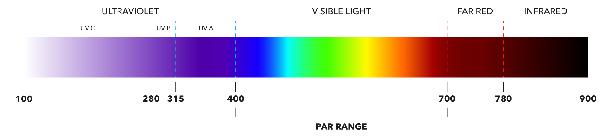 Photosynthetically Active Radiation (PAR)